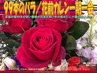99本のバラ(4)/花前カレン一期一会画像01 99本のバラ(4)/花前カレン一期一会画像01