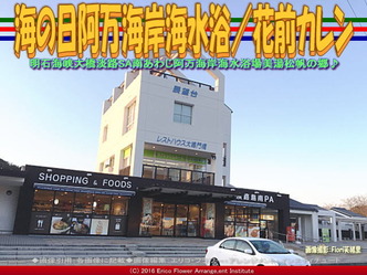 海の日淡路島／花前カレン画像01
