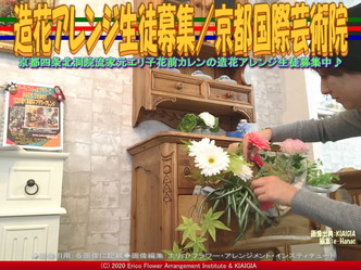 65、造花アレンジ生徒募集/京都国際芸術院02画像画像
▼画像クリックで1280x960pxlsに拡大@北洞院エリ子花前カレン 65、造花アレンジ生徒募集/京都国際芸術院02画像画像
▼画像クリックで1280x960pxlsに拡大@北洞院エリ子花前カレン