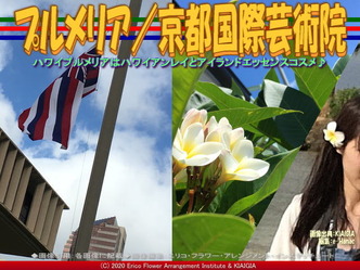 プルメリア(2)/京都国際芸術院画像01
▼画像クリックで640x480pxlsに拡大@北洞院エリ子花前カレン プルメリア(2)/京都国際芸術院画像01
▼画像クリックで640x480pxlsに拡大@北洞院エリ子花前カレン