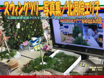 スウィングツリー写真集(5)／北洞院エリ子画像01
▼画像クリックで640x480pxlsに拡大＠北洞院エリ子花前カレン