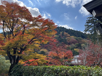 (3)京都西山善峯寺の紅葉はとても綺麗だった！0