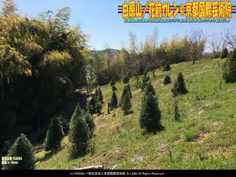 白原山(8)/花前カレン@京都国際芸術院画像02
▼画像クリックで1280x960pxlsに拡大@北洞院エリ子花前カレン 白原山(8)/花前カレン@京都国際芸術院画像02
▼画像クリックで1280x960pxlsに拡大@北洞院エリ子花前カレン