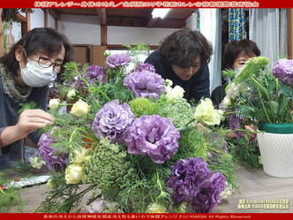 体調アレンジ~冷え(5)/花前カレン画像01
▼画像クリックで1280x960pxlsに拡大@北洞院エリ子花前カレン 体調アレンジ~冷え(5)/花前カレン画像01
▼画像クリックで1280x960pxlsに拡大@北洞院エリ子花前カレン