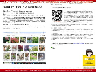 スモークツリーアレンジ／家元エリ子の市民講座画像
▼画像クリックで1280x960pxlsに拡大＠北洞院エリ子花前カレン