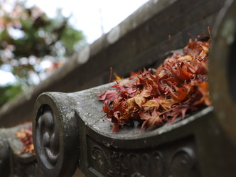 (1)京都西山善峯寺の紅葉はとても綺麗だった！