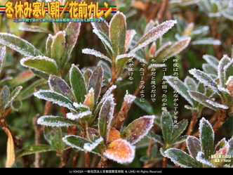 冬休み寒い朝(2)／花前カレン画像01
▼画像クリックで1280x960pxlsに拡大＠北洞院エリ子花前カレン