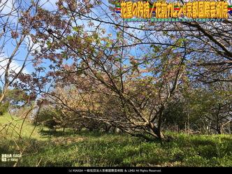 花屋の矜持(6)/花前カレン@京都国際芸術院画像01
▼画像クリックで1280x960pxlsに拡大@北洞院エリ子花前カレン 花屋の矜持(6)/花前カレン@京都国際芸術院画像01
▼画像クリックで1280x960pxlsに拡大@北洞院エリ子花前カレン