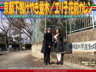 京都下鴨けやき並木(2)/エリ子花前カレン画像01
▼画像クリックで640x480pxlsに拡大@エリ子花前カレン 京都下鴨けやき並木(2)/エリ子花前カレン画像01
▼画像クリックで640x480pxlsに拡大@エリ子花前カレン