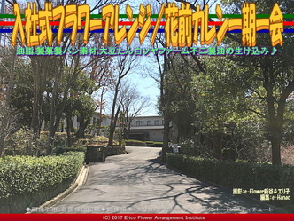 入社式フラワーアレンジ(2)/花前カレン一期一会画像02 入社式フラワーアレンジ(2)/花前カレン一期一会画像02