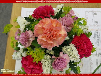 キッズフラワー定期講座(2)/北洞院エリ子花前カレン画像01
▼画像クリックで長辺1280x短辺960pxlsに拡大@北洞院エリ子花前カレン キッズフラワー定期講座(2)/北洞院エリ子花前カレン画像01
▼画像クリックで長辺1280x短辺960pxlsに拡大@北洞院エリ子花前カレン