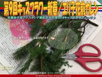 第９回キッズフラワー新春(3)／エリ子花前カレン画像01
▼画像クリックで640x480pxlsに拡大＠エリ子花前カレン