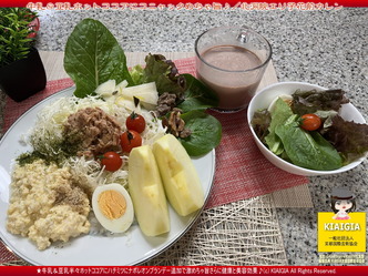 ピュアココアに含まれるポリフェノールの働き／健康と美容ココアの栄養と効能画像
▼画像クリックで1280x960pxlsに拡大＠北洞院エリ子花前カレン