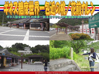 ギネス世界一包近の桃／花前カレン画像01