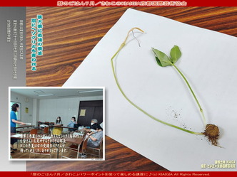 さわこ暦のごはん＠京都国際芸術協会画像01
▼画像クリックで1280x960pxlsに拡大＠北洞院エリ子花前カレン