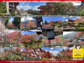 260930■京都ぶらり旅～善峯寺／アートの旅2026秋号画像01
▼画像クリックで1280x960pxlsに拡大＠北洞院エリ子花前カレン