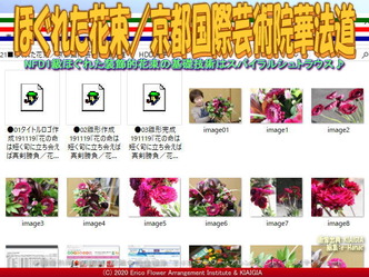 ほぐれた花束/京都国際芸術院華法道画像01
▼画像クリックで640x480pxlsに拡大@北洞院エリ子花前カレン ほぐれた花束/京都国際芸術院華法道画像01
▼画像クリックで640x480pxlsに拡大@北洞院エリ子花前カレン