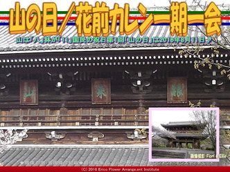 山の日／花前カレン一期一会画像01