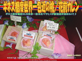 ギネス世界一かねちかの桃／花前カレン画像02