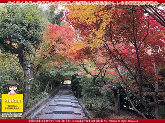 ゆく年くる年～京都東山(2)／家元エリ子画像04
▼画像クリックで1280x960pxlsに拡大＠北洞院エリ子花前カレン