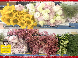 スプレーシェイプ(2)/家元エリ子の市民講座画像
▼画像クリックで1280x960pxlsに拡大@北洞院エリ子花前カレン スプレーシェイプ(2)/家元エリ子の市民講座画像
▼画像クリックで1280x960pxlsに拡大@北洞院エリ子花前カレン