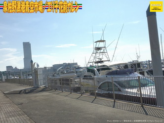 泉佐野漁港青空市場(6)/エリ子花前カレン画像02
▼画像クリックで1280x960pxlsに拡大@北洞院エリ子花前カレン 泉佐野漁港青空市場(6)/エリ子花前カレン画像02
▼画像クリックで1280x960pxlsに拡大@北洞院エリ子花前カレン