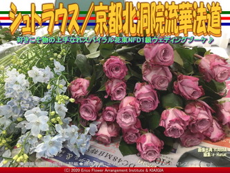 シュトラウス(2)/京都北洞院流華法道画像02
▼画像クリックで640x480pxlsに拡大@北洞院エリ子花前カレン シュトラウス(2)/京都北洞院流華法道画像02
▼画像クリックで640x480pxlsに拡大@北洞院エリ子花前カレン