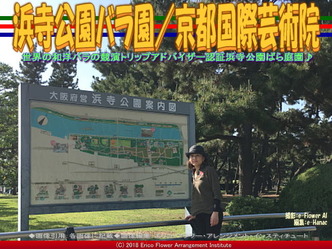 浜寺公園バラ園/京都国際芸術院画像01
▼画像クリックで640x480pxlsに拡大@エリ子花前カレン 浜寺公園バラ園/京都国際芸術院画像01
▼画像クリックで640x480pxlsに拡大@エリ子花前カレン