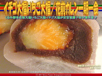 イチゴ大福いちご大福／花前カレン一期一会画像03