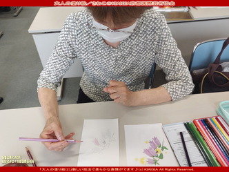 大人の塗り絵／さわこ(2)＠京都国際芸術協会画像01
▼画像クリックで1280x960pxlsに拡大＠北洞院エリ子花前カレン