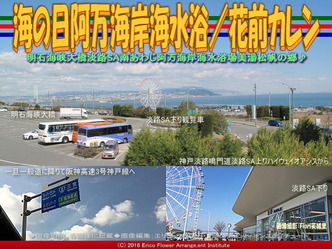 海の日淡路島海水浴／花前カレン画像02