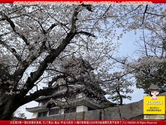 京都伏見城の桜満開前のお花見(4)/花前カレン画像02
▼画像クリックで1280x960pxlsに拡大@北洞院エリ子花前カレン 京都伏見城の桜満開前のお花見(4)/花前カレン画像02
▼画像クリックで1280x960pxlsに拡大@北洞院エリ子花前カレン