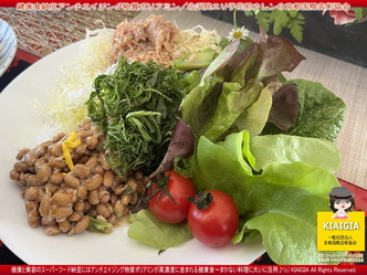 健康食納豆アンチエイジング物質ポリアミン/花前カレン画像01
▼画像クリックで1280x960pxlsに拡大@北洞院エリ子花前カレン 健康食納豆アンチエイジング物質ポリアミン/花前カレン画像01
▼画像クリックで1280x960pxlsに拡大@北洞院エリ子花前カレン