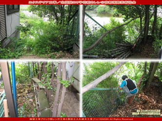 エクステリア工事／花前カレン画像01
▼画像クリックで1280x960pxlsに拡大＠北洞院エリ子花前カレン