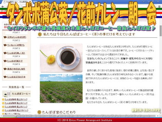 タンポポ蒲公英／花前カレン一期一会画像01