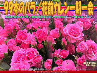 99本のバラ(3)/花前カレン一期一会画像01 99本のバラ(3)/花前カレン一期一会画像01