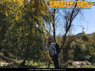 北洞院流ミモザ(4)/花前カレン画像02
▼画像クリックで1280x960pxlsに拡大@北洞院エリ子花前カレン 北洞院流ミモザ(4)/花前カレン画像02
▼画像クリックで1280x960pxlsに拡大@北洞院エリ子花前カレン