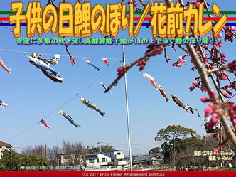 子供の日鯉のぼり/花前カレン画像02 子供の日鯉のぼり/花前カレン画像02