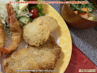 癌リスク低減効果科学的根拠／花前カレン画像
▼画像クリックで1280x960pxlsに拡大＠北洞院エリ子花前カレン