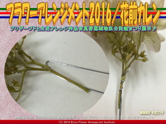 プリザーブドフラワーアレンジ(3)/ワイヤリング花前カレン画像03 プリザーブドフラワーアレンジ(3)/ワイヤリング花前カレン画像03