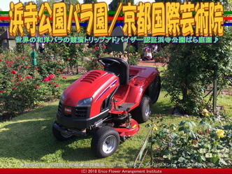 浜寺公園バラ園(9)/花前@京都国際芸術院画像02
▼画像クリックで640x480pxlsに拡大@エリ子花前カレン 浜寺公園バラ園(9)/花前@京都国際芸術院画像02
▼画像クリックで640x480pxlsに拡大@エリ子花前カレン