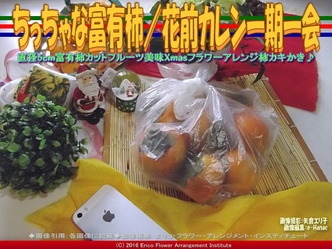 ちっちゃな富有柿／花前カレン一期一会画像01