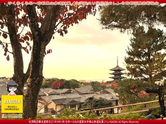 ゆく年くる年～京都東山／家元エリ子画像04
▼画像クリックで1280x960pxlsに拡大＠北洞院エリ子花前カレン