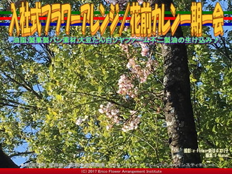 入社式フラワーアレンジ(4) /花前カレン一期一会画像02 入社式フラワーアレンジ(4) /花前カレン一期一会画像02