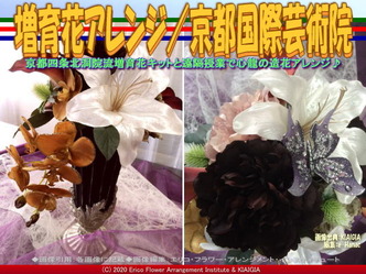 増育花アレンジ(9)/京都国際芸術院画像02
▼画像クリックで640x480pxlsに拡大@北洞院エリ子花前カレン 増育花アレンジ(9)/京都国際芸術院画像02
▼画像クリックで640x480pxlsに拡大@北洞院エリ子花前カレン