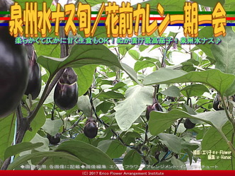 泉州水ナス旬(2)/花前カレン一期一会画像01 泉州水ナス旬(2)/花前カレン一期一会画像01