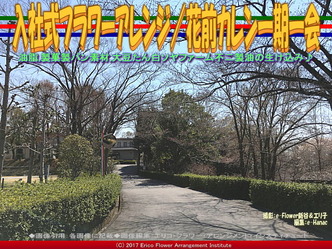 入社式フラワーアレンジ(3) /花前カレン一期一会画像03 入社式フラワーアレンジ(3) /花前カレン一期一会画像03