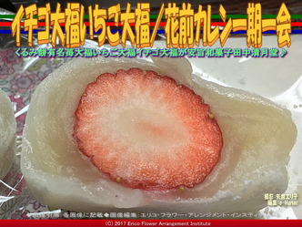 イチゴ大福いちご大福／花前カレン一期一会画像01