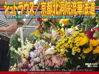 シュトラウス(9)/京都北洞院流華法道画像02
▼画像クリックで640x480pxlsに拡大@北洞院エリ子花前カレン シュトラウス(9)/京都北洞院流華法道画像02
▼画像クリックで640x480pxlsに拡大@北洞院エリ子花前カレン