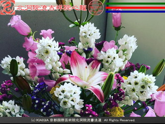 交換ブログ(5)花は花屋/京都国際芸術院画像02
▼画像クリックで640x480pxlsに拡大@エリ子花前カレン 交換ブログ(5)花は花屋/京都国際芸術院画像02
▼画像クリックで640x480pxlsに拡大@エリ子花前カレン